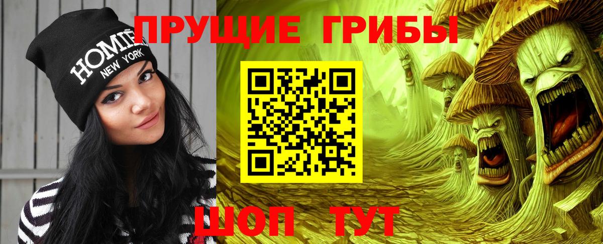 Курчалой  Галлюциногенные грибы мицелий  Галлюциногенные грибы мухоморы  Вход с VPN 